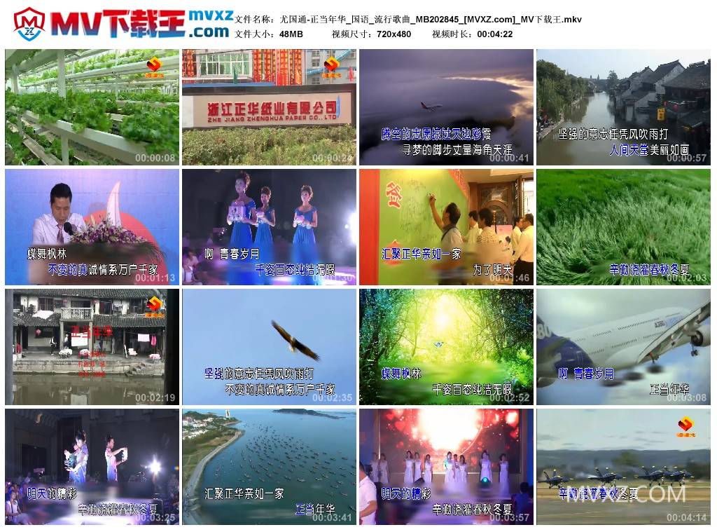 尤国通-正当年华_国语_流行歌曲_MB202845